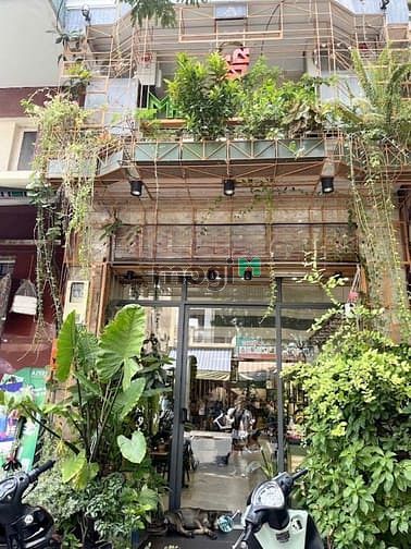 Hình ảnh 𝐌ặ𝐭 𝐭𝐢ề𝐧 đẹ𝐩 🌸𝐋ề 𝐫ộ𝐧𝐠 🌱𝐐𝐮ậ𝐧 𝟏 𝐘𝐞𝐫𝐬𝐢𝐧🍃
