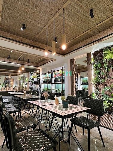 Hình ảnh 𝐌ặ𝐭 𝐭𝐢ề𝐧 đẹ𝐩 🌸𝐋ề 𝐫ộ𝐧𝐠 🌱𝐐𝐮ậ𝐧 𝟏 𝐘𝐞𝐫𝐬𝐢𝐧🍃