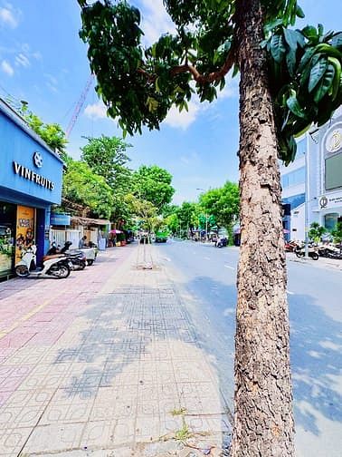 Hình ảnh Cho Thuê Toà Nhà Mặt Tiền 278A Nguyễn Đình Chiểu, P. Võ Thị Sáu, Q3