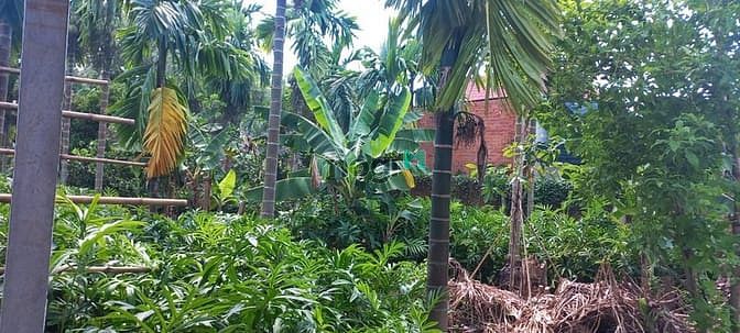 Hình ảnh Bán đất đường Trung An - 1235m2 - 17.7x69 - 300m2 thổ cư - Trung An