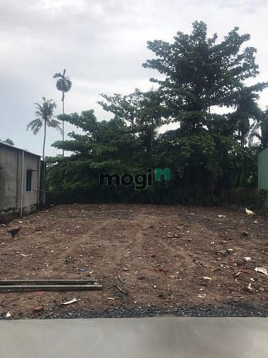 Hình ảnh Đất Ngộp 300m2 thổ cư sổ riêng( giá nào cũng bán) xã Tân Bình,Vĩnh Cửu