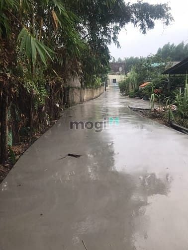 Hình ảnh Đất Ngộp 300m2 thổ cư sổ riêng( giá nào cũng bán) xã Tân Bình,Vĩnh Cửu