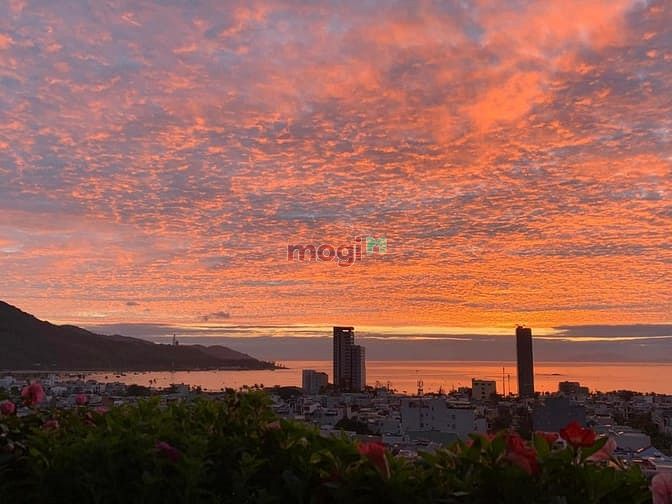 Hình ảnh Cho thuê Trang Chủ MB66.COM / Đăng Ký Tặng 66K SƠN TRÀ OCEAN VIEW, tầng cao 2 phòng ngủ view biển