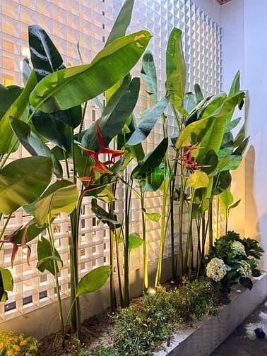 Hình ảnh Bán nhà đang cho thuê 20tr/th Đ.9 An Khánh, Q2, 89m2, 3tỷ8, SHR.