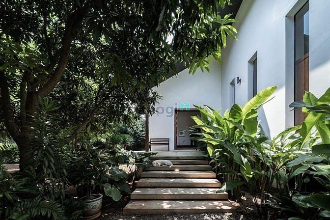 Hình ảnh Ngang 25M, Ngay Phan Đình Phùng- Phan Đăng Lưu, Phú Nhuận