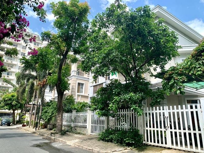 Hình ảnh Cho thuê gấp biệt thự đơn lập Mỹ Văn, PMH, Q.7
