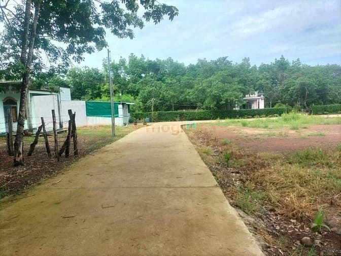 Hình ảnh Kẹt Vốn Bán LỖ Lô Đất 15x30 = 450m2 GIÁ 270Tr