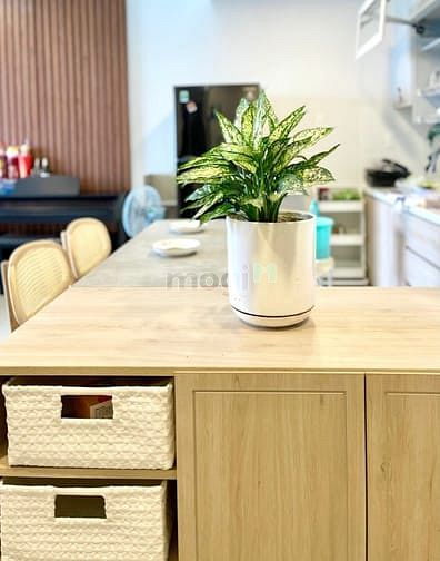 Hình ảnh Chuyển nhượng SUNRISE CITY VIEW _2PN_có ban công_nhà siêu đẹp