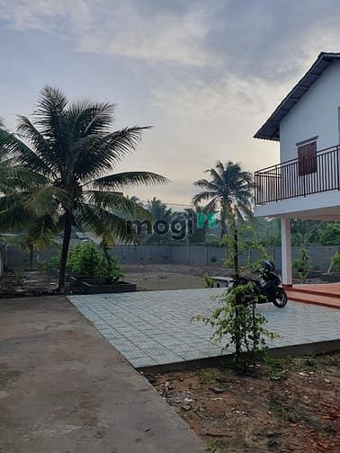 Hình ảnh Tiền Giang, bán 4 thửa đất tuyệt đẹp tặng 4 chuyến du lịch Hàn Quốc
