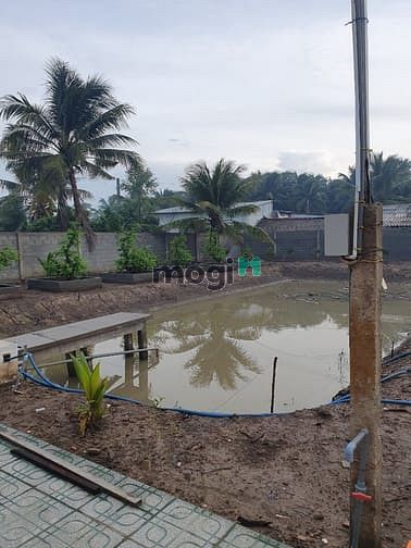 Hình ảnh Tiền Giang, bán 4 thửa đất tuyệt đẹp tặng 4 chuyến du lịch Hàn Quốc