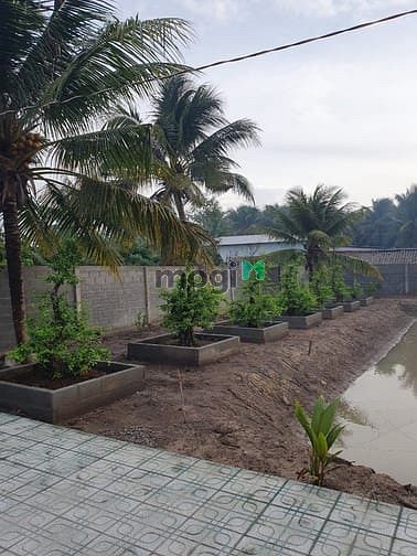 Hình ảnh Tiền Giang, bán 4 thửa đất tuyệt đẹp tặng 4 chuyến du lịch Hàn Quốc