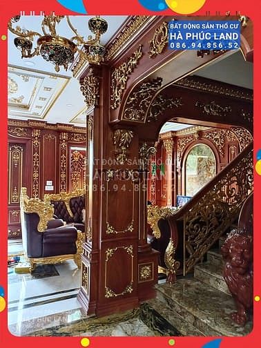 Hình ảnh GV. Hot! Bán BIỆT THỰ DÁT VÀNG. 8M x 22.5M, Hầm, 5T, Thang Máy.