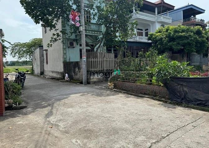 Hình ảnh Đường yên Xuân bộn đông anh hà nội