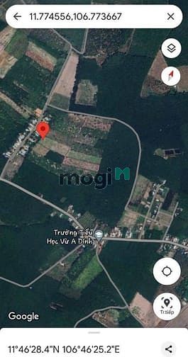 Hình ảnh Bán đất tại Bình Long, Đồng Phú