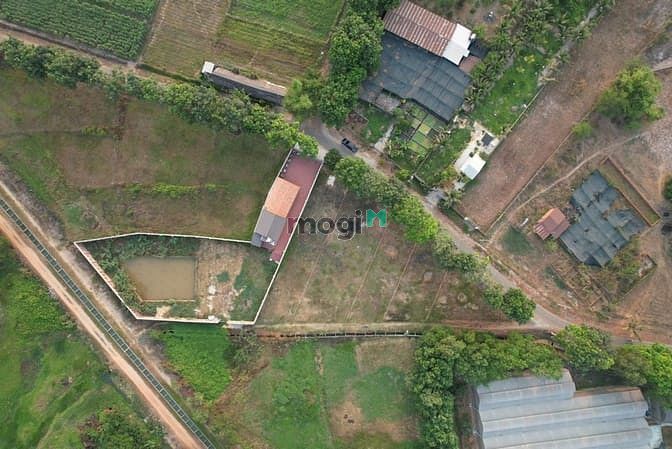 Hình ảnh Bán đất Xã thái Mỹ gốc hai mặt tiền