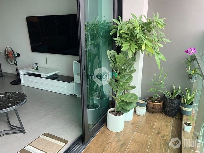 Hình ảnh Cho thuê 2PN 2WC Feliz vista TML Q2