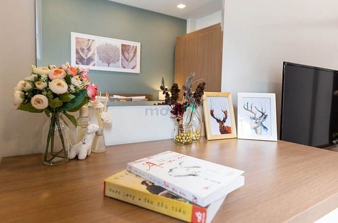 Hình ảnh Căn hộ Studio trung tâm Quận 7 Tp HCM