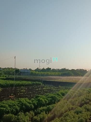 Hình ảnh Bán 122m2 đất, 550tr bao sổ, full thổ cư, SHR, mặt tiền đường xe tải
