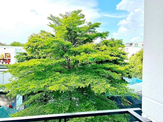 Hình ảnh Cho thuê Trang Chủ MB66.COM / Đăng Ký Tặng 66K Duplex Balcon thoáng mát Trần Thiện Chánh Quận 12