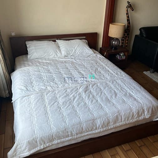 Hình ảnh Cho thuê Trang Chủ MB66.COM / Đăng Ký Tặng 66K studio chung cư The manor Officetel