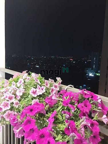 Hình ảnh Hót. Sos. Coc 1thang, Cho thuê richstar 65m 2pn2wc full nt như hình