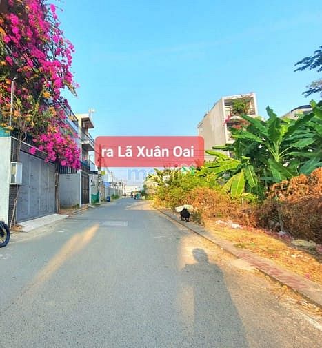 Hình ảnh Bán đất 1 xẹt đường lã. Xuân oai. P long trường .Q9