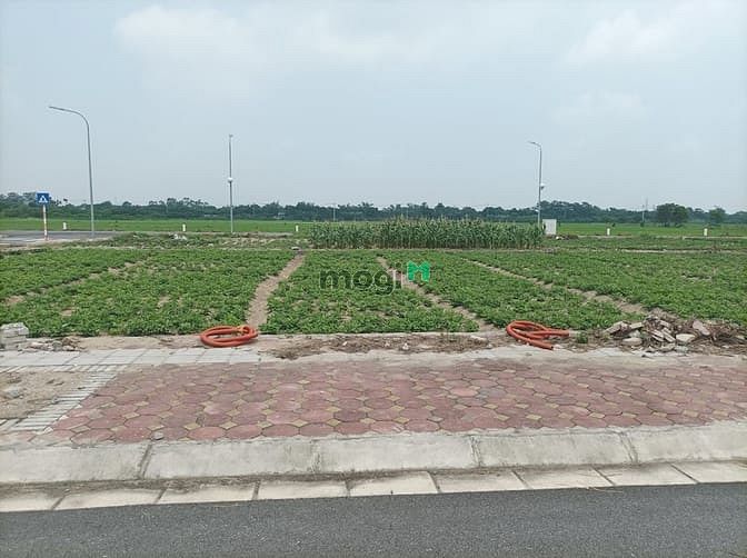 Hình ảnh Đất dịch vụ Lê Xá, Mai Lâm. Vỉa hè, phân lô. DT 80m2, MT 5m.