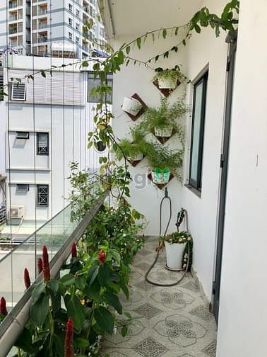 Hình ảnh Căn Hộ Studio Cao Cấp Full Nội Thất Có Bang Công Tọa Lạc Tại Q7