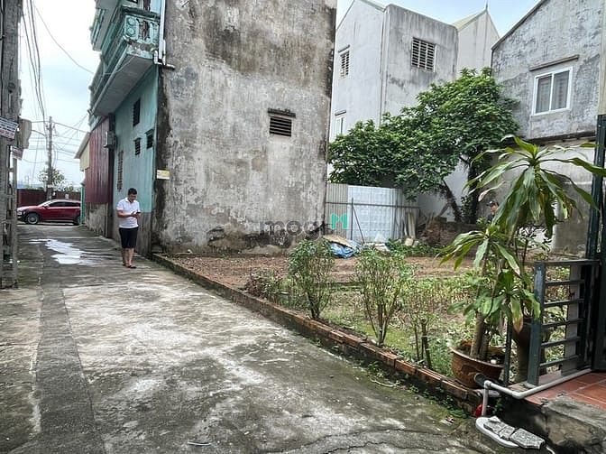 Hình ảnh Đất sổ đỏ 48,2m2 đường Nguyên Khê, Đông Anh, Hà Nội