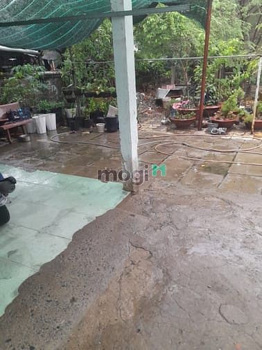 Hình ảnh Bán đất thổ cư 300m2 xã Hưng Long, Bình Chánh, giá chỉ 6 tỷ x TL