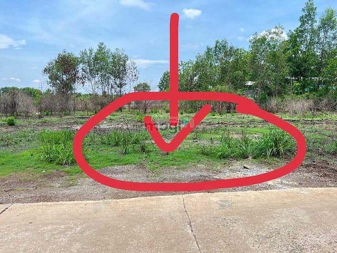 Hình ảnh Bán lô đất thổ cư (5mx25m) mặt tiền đường cách THCS Gia Kiệm
