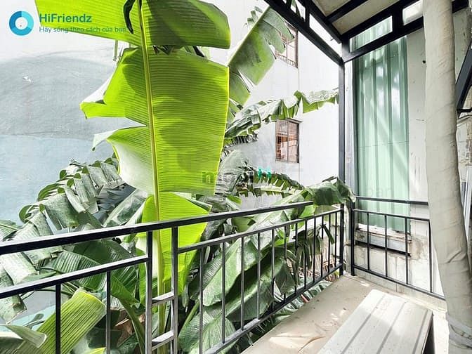 Hình ảnh Phòng Có Gác Cao Gần Đại Học Văn Lang