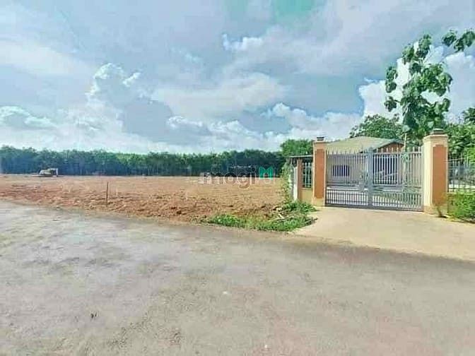 Hình ảnh Cần bán gấp lô đất thổ cư 5x52=262m2, đất ngay tt Thị Xã, giá 260tr