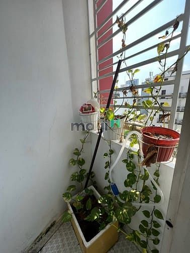 Hình ảnh Chung cư Tân Phước - Quận 11 3pn 71m2 giá 9tr