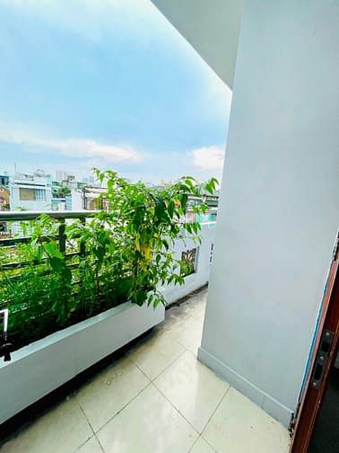Hình ảnh Cho thuê 1 phòng ngủ tách bếp ban công lớn Lạc Long Quân Tân Bình