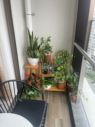 Hình ảnh Cho thuê Trang Chủ MB66.COM / Đăng Ký Tặng 66K MIDTOWN M7 đầy đủ nội thất, Phú Mỹ Hưng , Quận 7