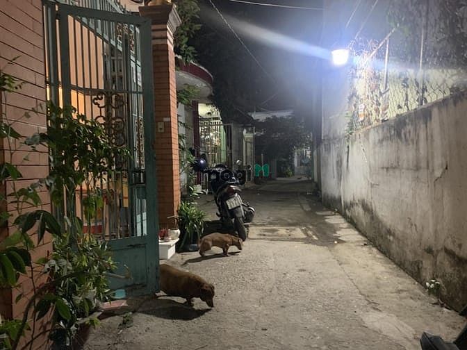 Hình ảnh Bán gấp nhà ngay Tân Mỹ Q7 , 5PN