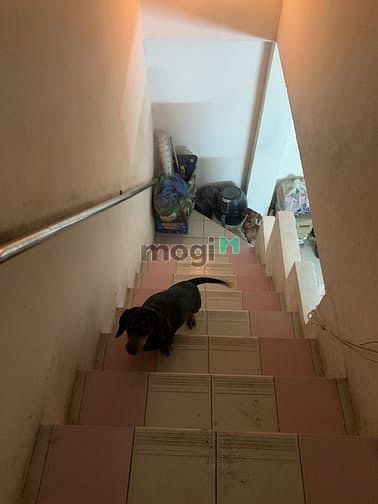 Hình ảnh Bán gấp nhà ngay Tân Mỹ Q7 , 5PN