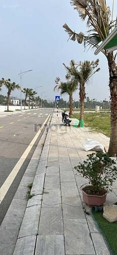 Hình ảnh Giá Tốt: Bán Đất Nền Việt Trì Spring City DT 90m2, 2 Tỷ