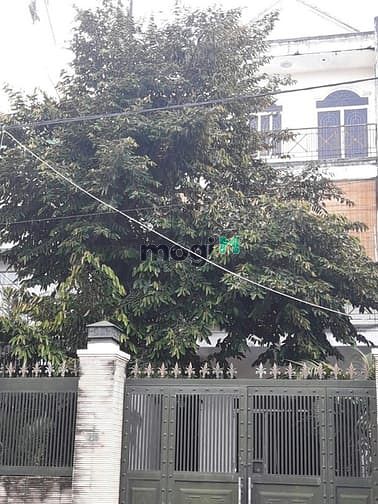 Hình ảnh Bán nhà 1T2L mặt tiền đường Chu Mạnh Trinh, Binh Thọ, Thủ Đức - 21 tỷ