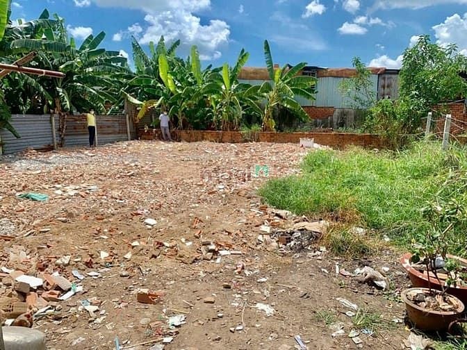 Hình ảnh Chính chủ bán lô đất gần chợ đầu mối Hóc Môn, 5,5x12m, hẻm xe tải nhỏ