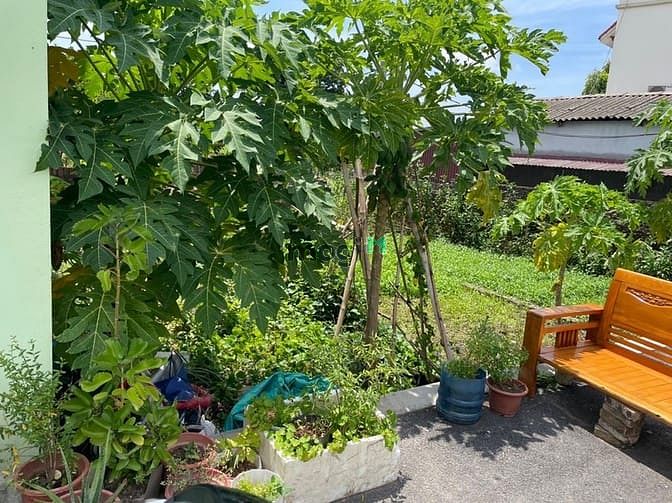 Hình ảnh BÁ.N Đ.Ấ.T ĐA TỐN, Ô TÔ VÀO ĐẤT, #Duynhat 1 mảnh 2.05t.ỷ , #41m2