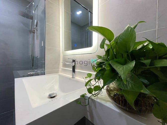 Hình ảnh Căn hộ 1PN trung tâm quận 1 TP HCM