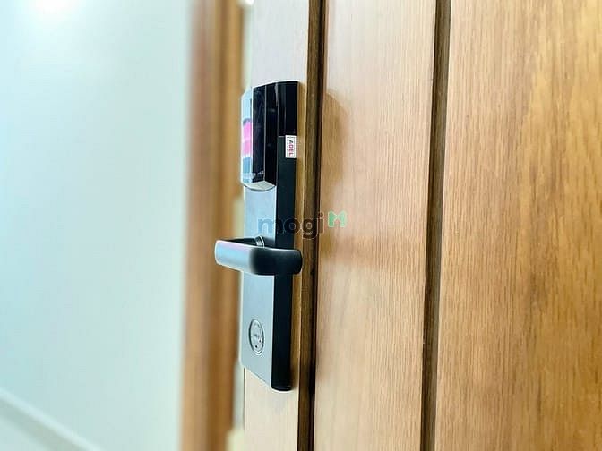 Hình ảnh Căn hộ 1PN trung tâm quận 1 TP HCM