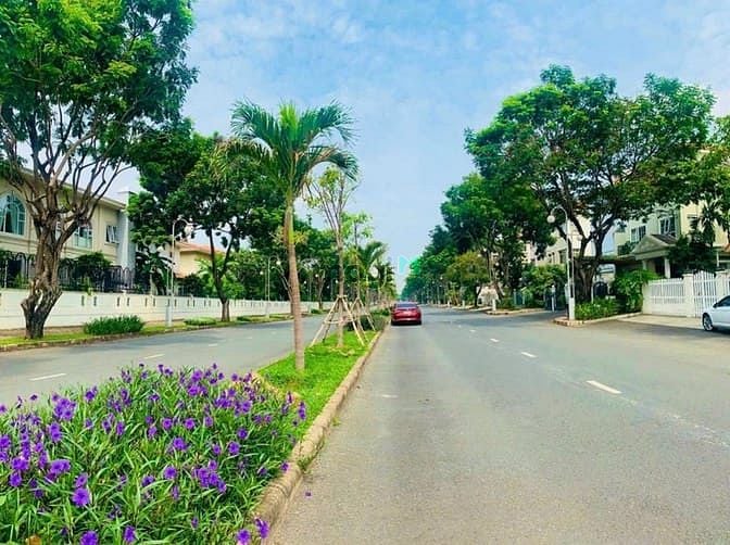 Hình ảnh cho thuê nhà 4 căn liền làm spa , phòng khám , bệnh viện, PMH,Q7