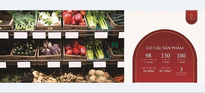 Hình ảnh CĐT Mở bán chợ Ngọc Long, Yên Mỹ, Hưng Yên Bao Gồm Shophouse - KIOT