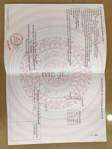 Hình ảnh Bán Gấp Đất Sổ Riêng Giá 1,150 Tỷ Tân phước Khánh, Tân Uyên