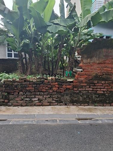 Hình ảnh Bán đất đại bằng, nguyên khê, 100m, oto tải vào nhà giá 3,x tỷ tl.