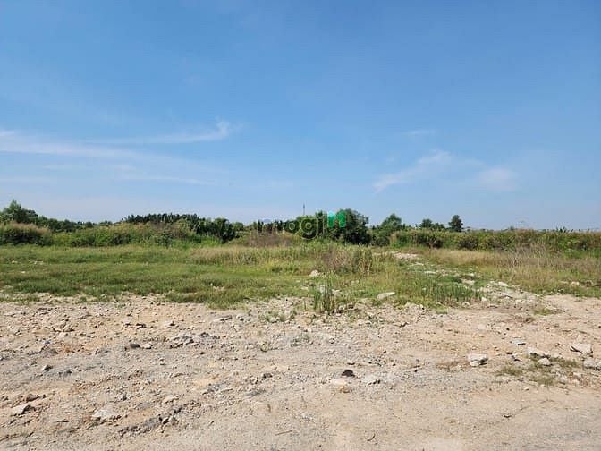 Hình ảnh Cho thuê đất 10.000m2; 20.000m2; 50.000m2 MT Ngô Quang Thắm, H. Nhà Bè
