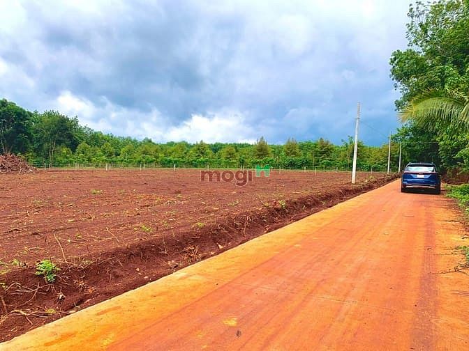 Hình ảnh Bán Rẻ 7 Sào Đất, Hơn 100m Mặt Tiền Đường, Kế Bên Ql4, Dân Cư Đông Đúc